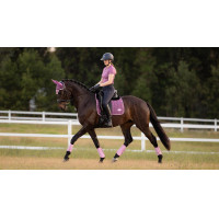 Sottosella LeMieux Loire Dressage Square Benetton Blu