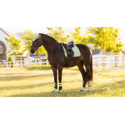 LeMieux Suede Dressage Square Reflective Distintivo Verde LeMieux Suede Dressage Square Reflective Distintivo Verde