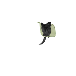 LeMieux Suede Dressage Square Reflective Distintivo Verde LeMieux Suede Dressage Square Reflective Distintivo Verde