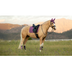 LeMieux Suede Dressage Square Reflective Malva Viola LeMieux Suede Dressage Square Reflective Malva Viola