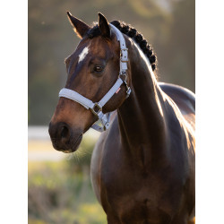 Capezzina LeMieux Essence Blu polvere