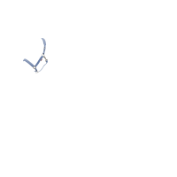 Capezzina LeMieux Essence Blu polvere Capezzina LeMieux Essence Blu polvere