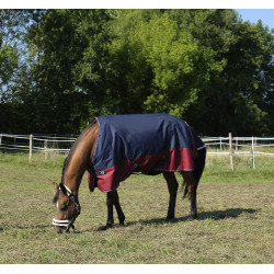 Coperta Equithème Tyrex 1200 D