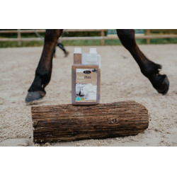 Easy Flex Horse Master