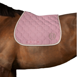 Sottosella Harcour Wimpel Rosa pallido