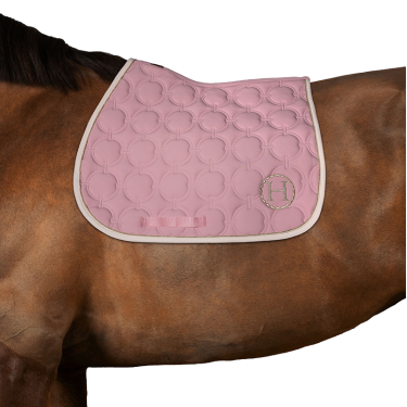 Sottosella Harcour Wimpel Rosa pallido