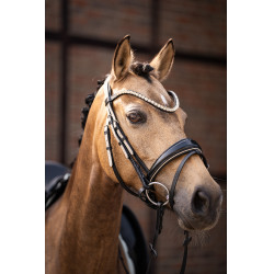 Briglia Lauria Garrelli Limone Elegant Nero / beige