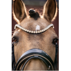 Briglia Lauria Garrelli Limone Elegant Nero / beige