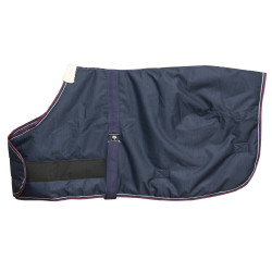 Coperta Equithème Tyrex 1200 D Foal