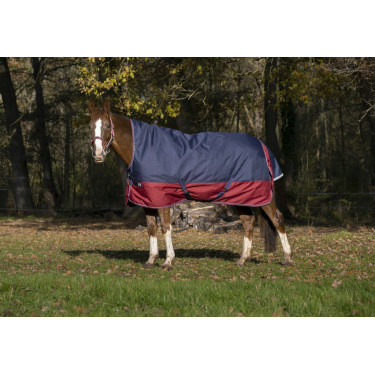 Coperta Equithème Tyrex 1200 D High Neck Coperta Equithème Tyrex 1200 D High Neck