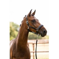 Capezza in cuoio HKM Glamour Nero / argento