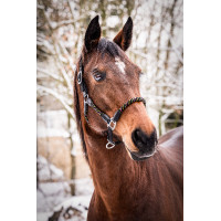 Capestro HKM Neon Flash Nero