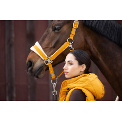 Capezzina Lauria Garrelli Arezzo Senape Giallo