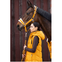 Capezzina Lauria Garrelli Arezzo Senape Giallo Capezzina Lauria Garrelli Arezzo Senape Giallo