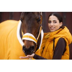 Capezzina Lauria Garrelli Arezzo Senape Giallo