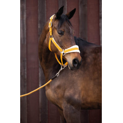 Capezzina Lauria Garrelli Arezzo Senape Giallo