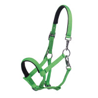 Capestro per puledro HKM Millie Verde neon