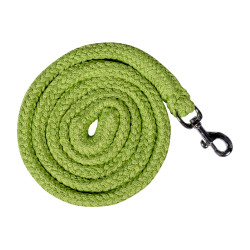 Lunga HKM Glow-Line con moschettone Verde