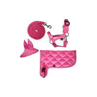 Set neon HKM Hobby Horse Rosa