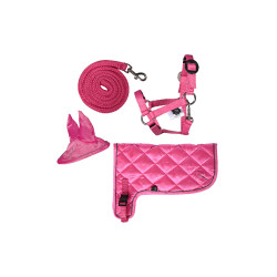Set neon HKM Hobby Horse Rosa