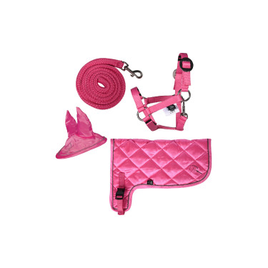Set neon HKM Hobby Horse Rosa