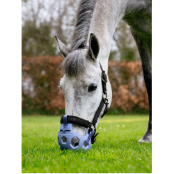 Museruole da pascolo LeMieux Noma Blu polvere