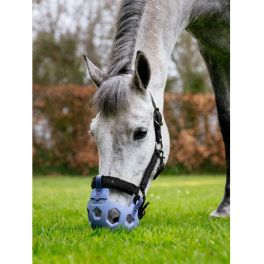 Museruole da pascolo LeMieux Noma Blu polvere