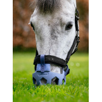 Museruole da pascolo LeMieux Noma Blu polvere