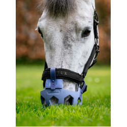 Museruole da pascolo LeMieux Noma Blu polvere