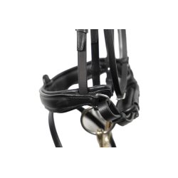 Briglia Signature by Antares dressage con capezzina combinata Nero