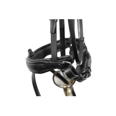 Briglia Signature by Antares dressage con capezzina combinata Nero