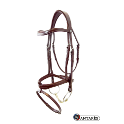 Briglia Signature by Antares capezzina combinata Signature Marrone