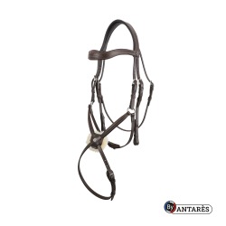 Briglia Signature by Antares con capezzina combinata Marrone