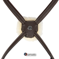 Briglia Signature by Antares con capezzina combinata Marrone