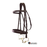 Briglia Signature by Antares Hunter Marrone