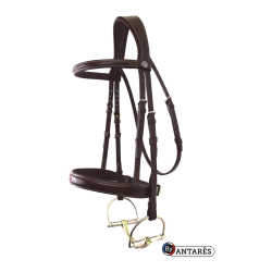 Briglia Signature by Antares Hunter Marrone