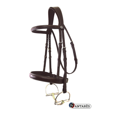 Briglia Signature by Antares Hunter Marrone