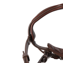 Briglia Signature sport by Antares con museruola combinata Marrone