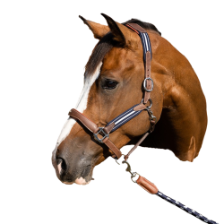 Capestro Antares stressless granato Malto