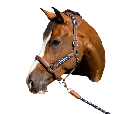 Capestro Antares stressless granato Malto