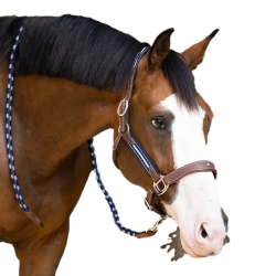 Capestro Antares stressless granato Malto