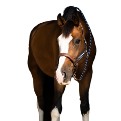 Capestro Antares stressless granato Malto