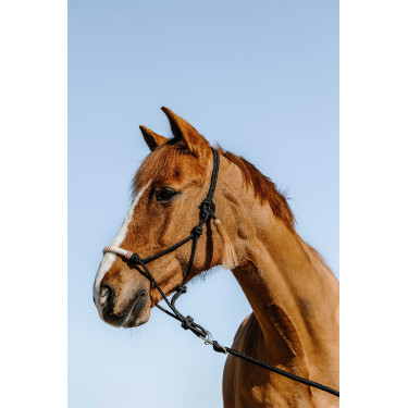 Capestro etologico Westride Western Nero