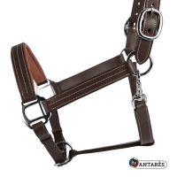 Capezzina in cuoio Signature by Antares anatomica Marrone