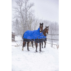Coperta Equithème Tyrex Aisance 1200D High Neck Blu reale