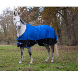 Coperta Equithème Tyrex Aisance 1200D Blu reale Coperta Equithème Tyrex Aisance 1200D Blu reale