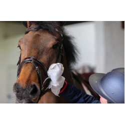Guanti per la pulizia Belvoir® Carr & Day & Martin Tack Cleaner Bianco