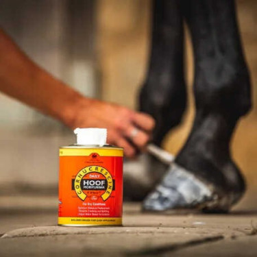Olio per zoccoli Carr & Day & Martin Daily Hoof Moisturiser Cornucrescine