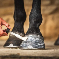Olio per zoccoli Carr & Day & Martin Daily Hoof Moisturiser Cornucrescine