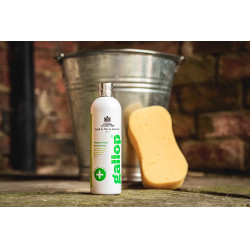 Shampoo antibatterico Gallop® Carr & Day & Martin